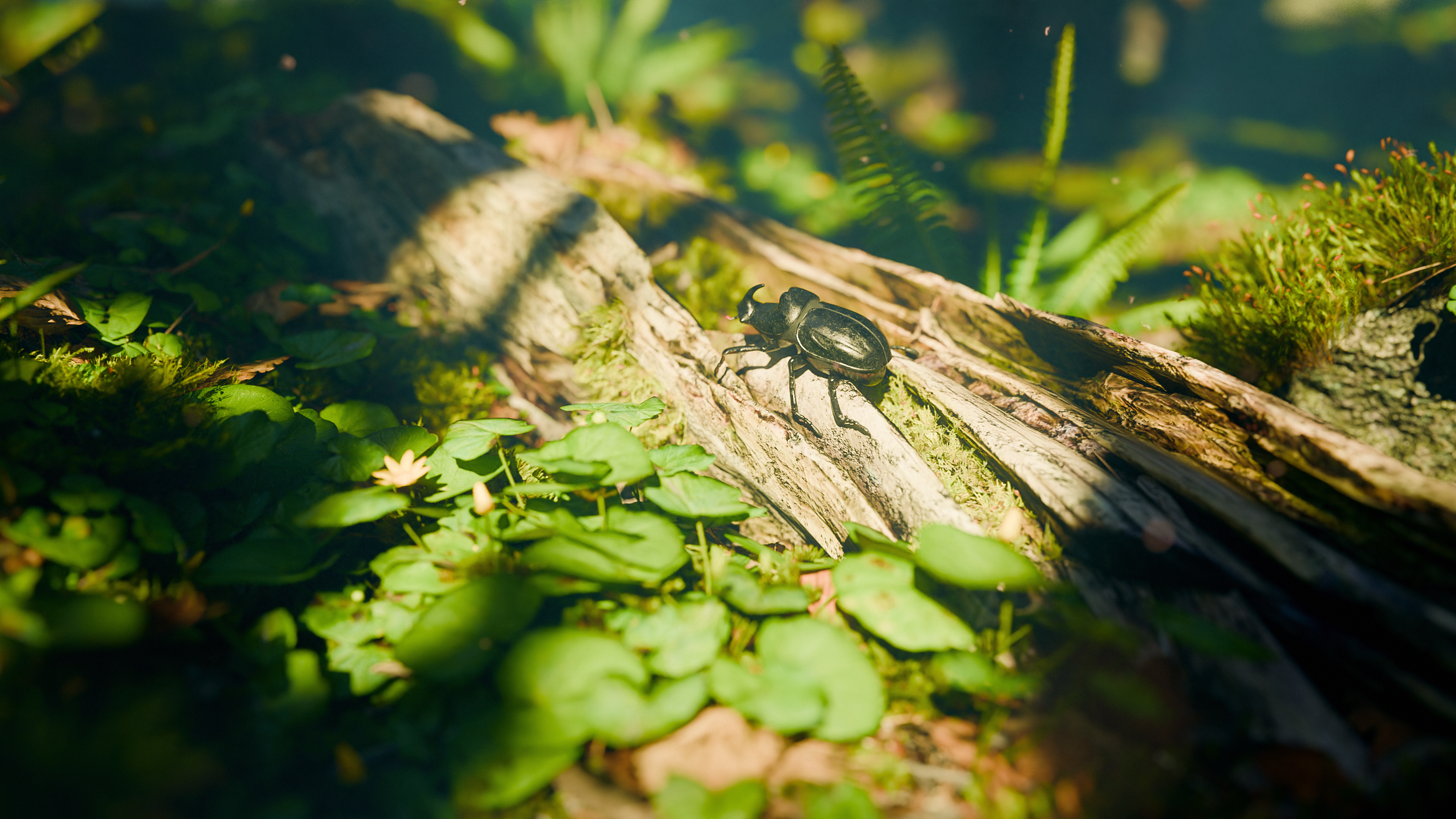 Nature - Finished Projects - Blender Artists Community