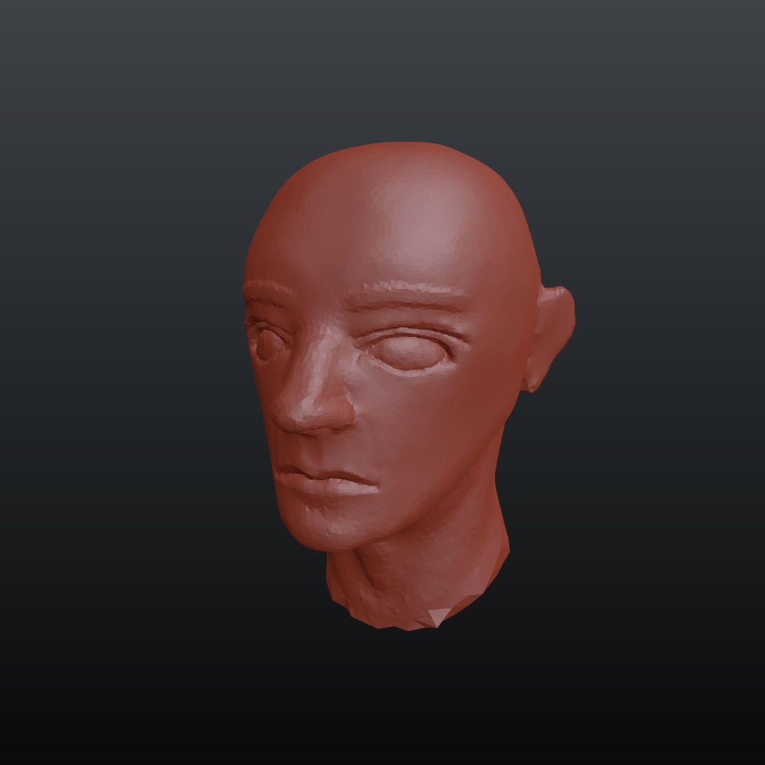 Facial Anatomy Studies - Works in Progress - Blender Artists Community