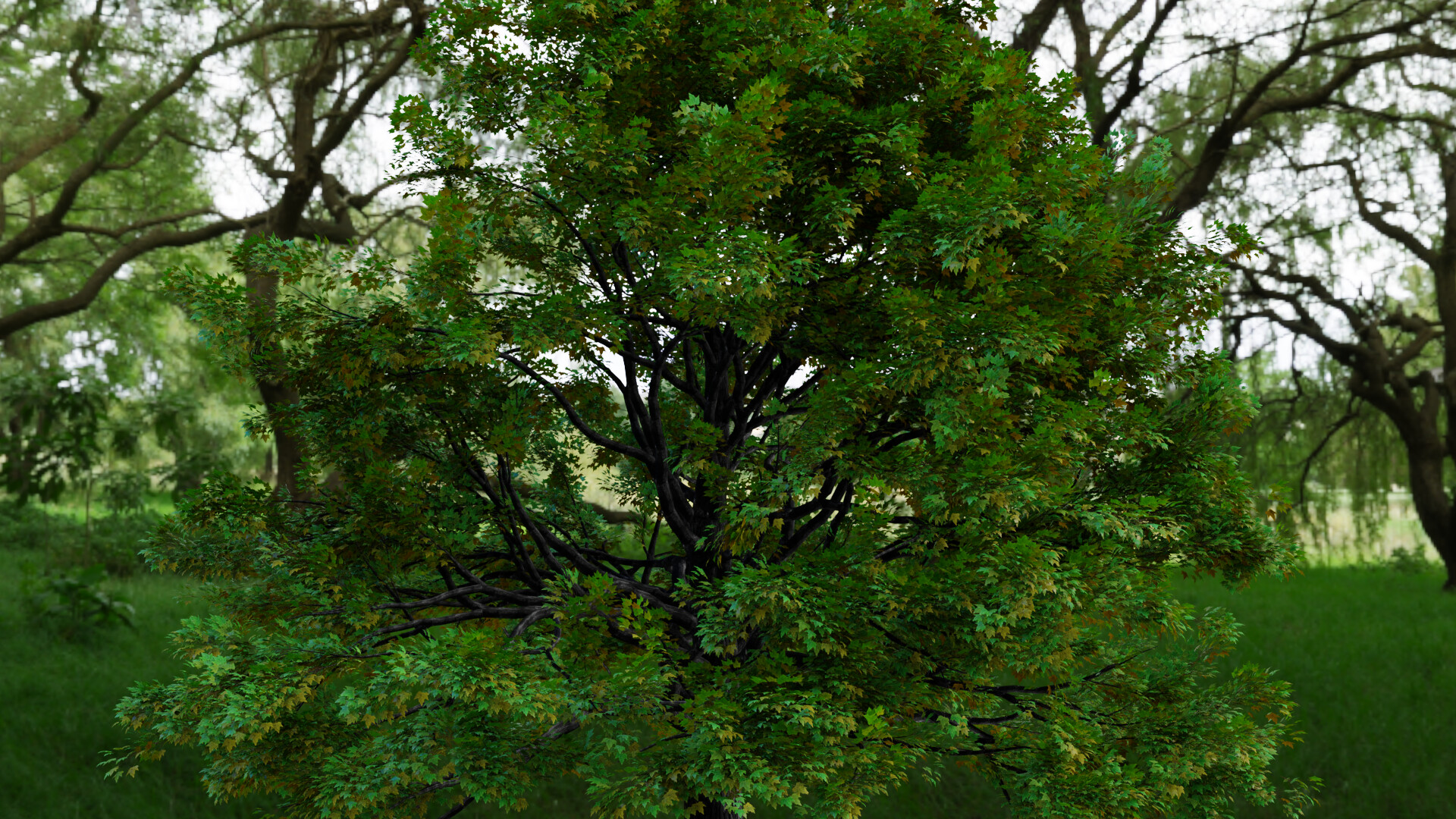 First tree - Finished Projects - Blender Artists Community