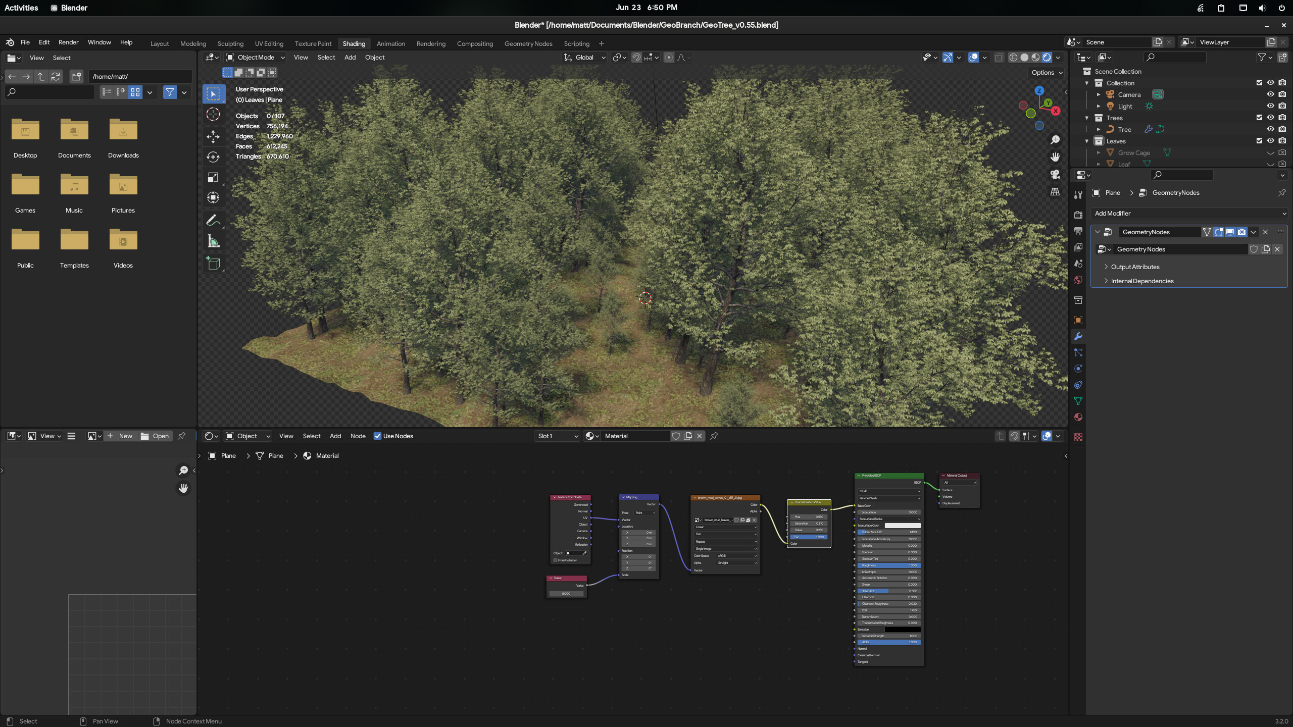 GeoTree: Procedural Trees in Geometry Nodes - #200 by Renzatic ...