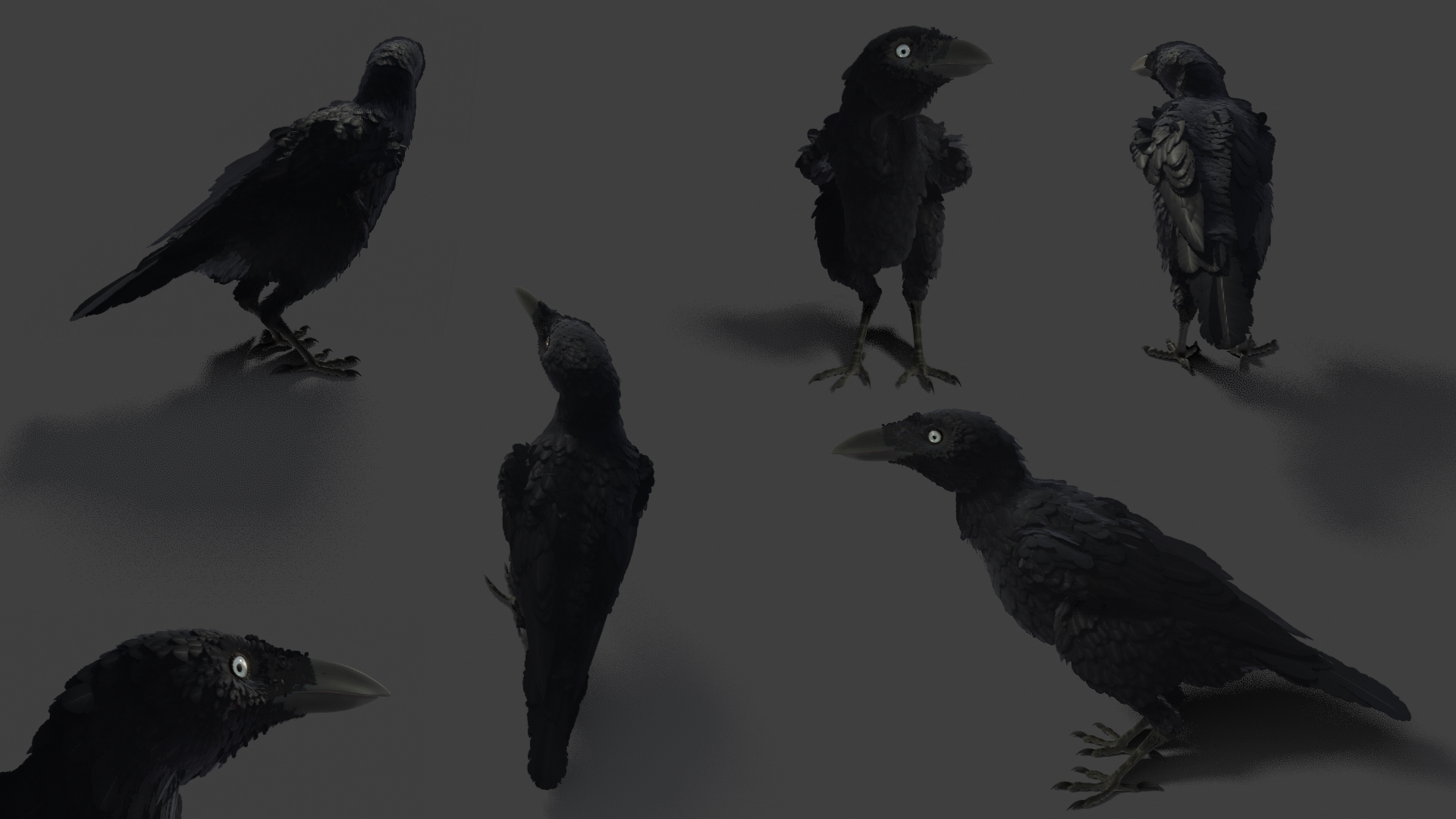 Realistic Stylized Crow in Blender 2.8 Eevee - Works in Progress ...