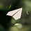 AiryGallantry
