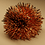 Blender_Fun1