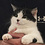 Gragh_Sparrow