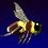 IngieBee