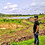 kshitij_bhate