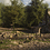 Loris_Longari