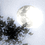 NocturnalTraveler