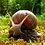 Romelus